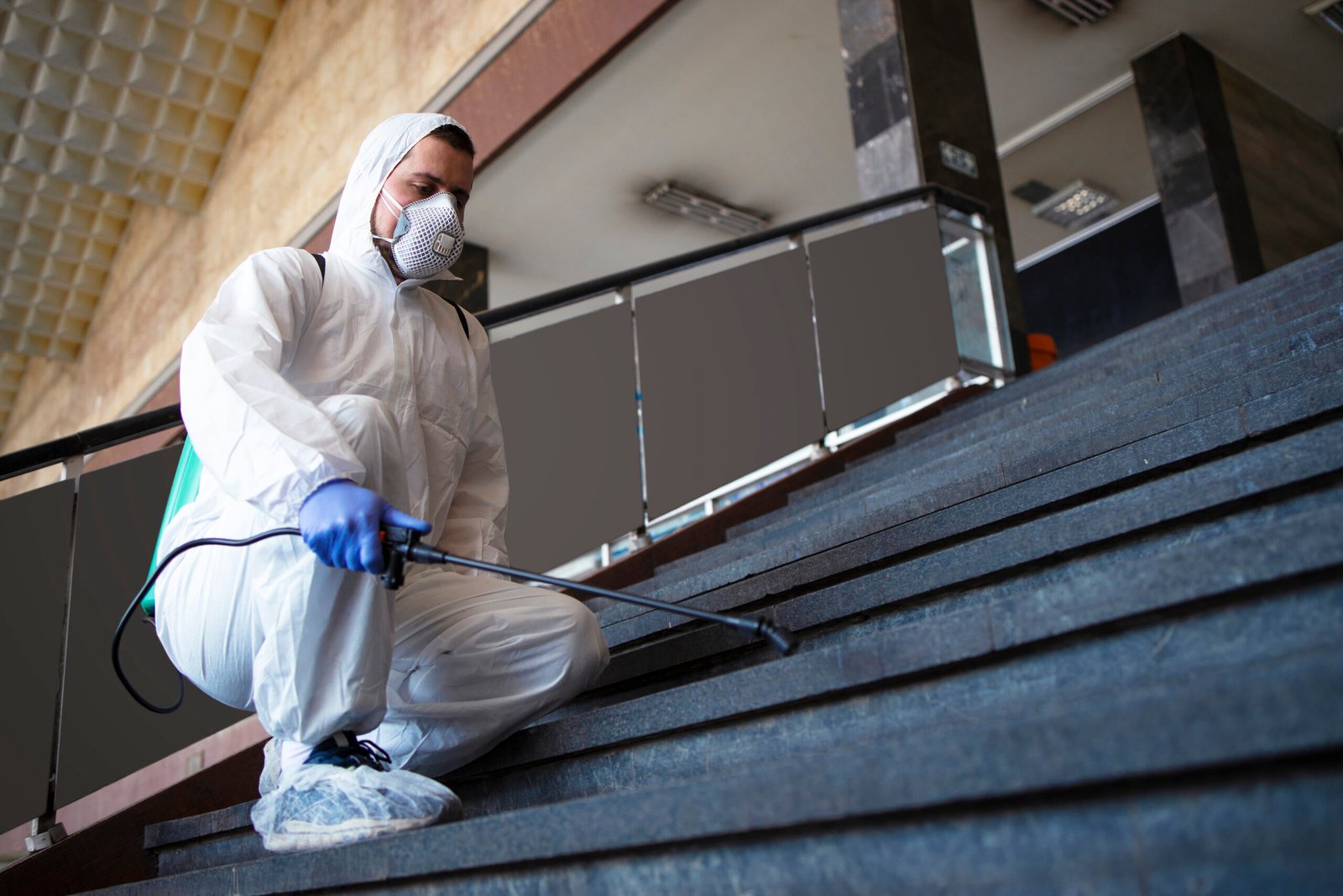 Termite Removal problem area
